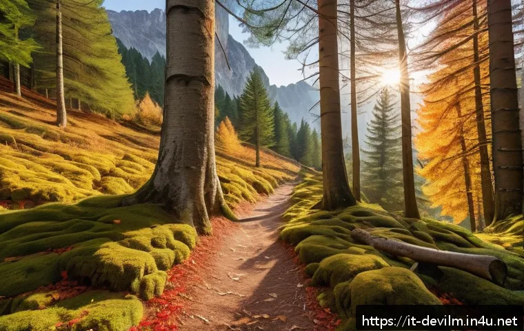 데블 M 사냥터 추천 - A serene alpine forest scene in Trentino during autumn, featuring tall red fir and larch trees with ...